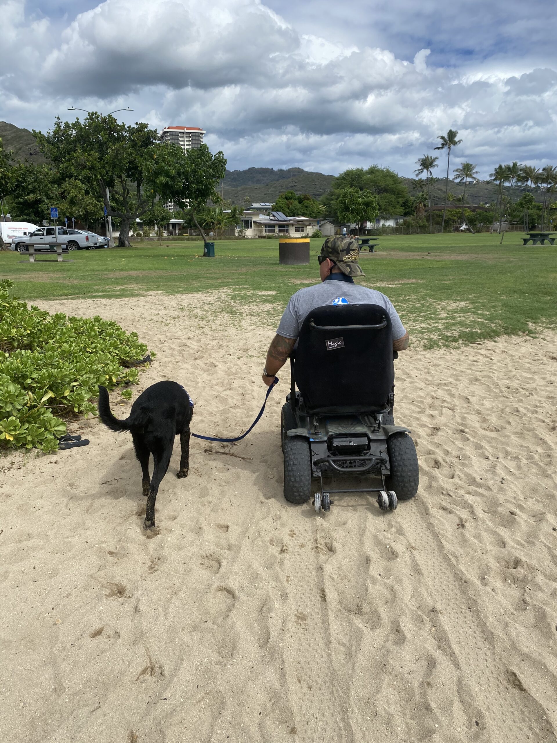 IMG_2954 Wheelchair user walking their dog